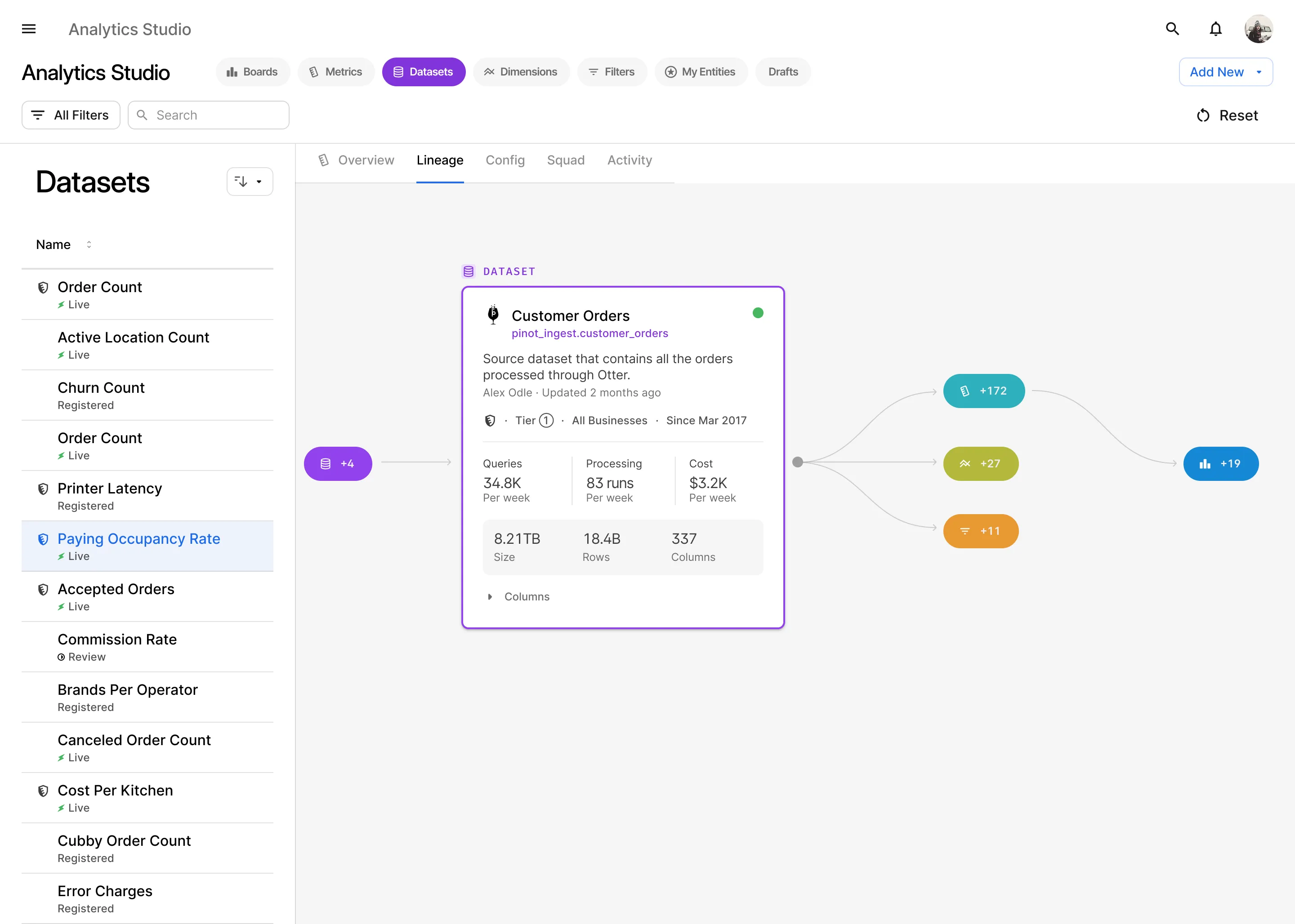 The same dataset from the lineage side: one source feeding 172 metrics, 19 boards and their consumers